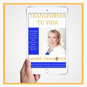 E-book Transforma Tu Vida